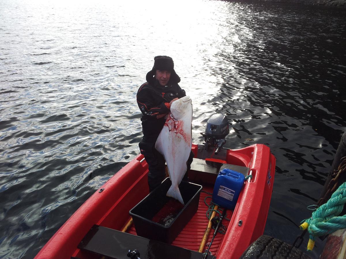 Jarfjord Arctic Aurora Lodge Karpbukt Екстериор снимка